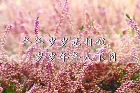 生活感悟心情语录图片